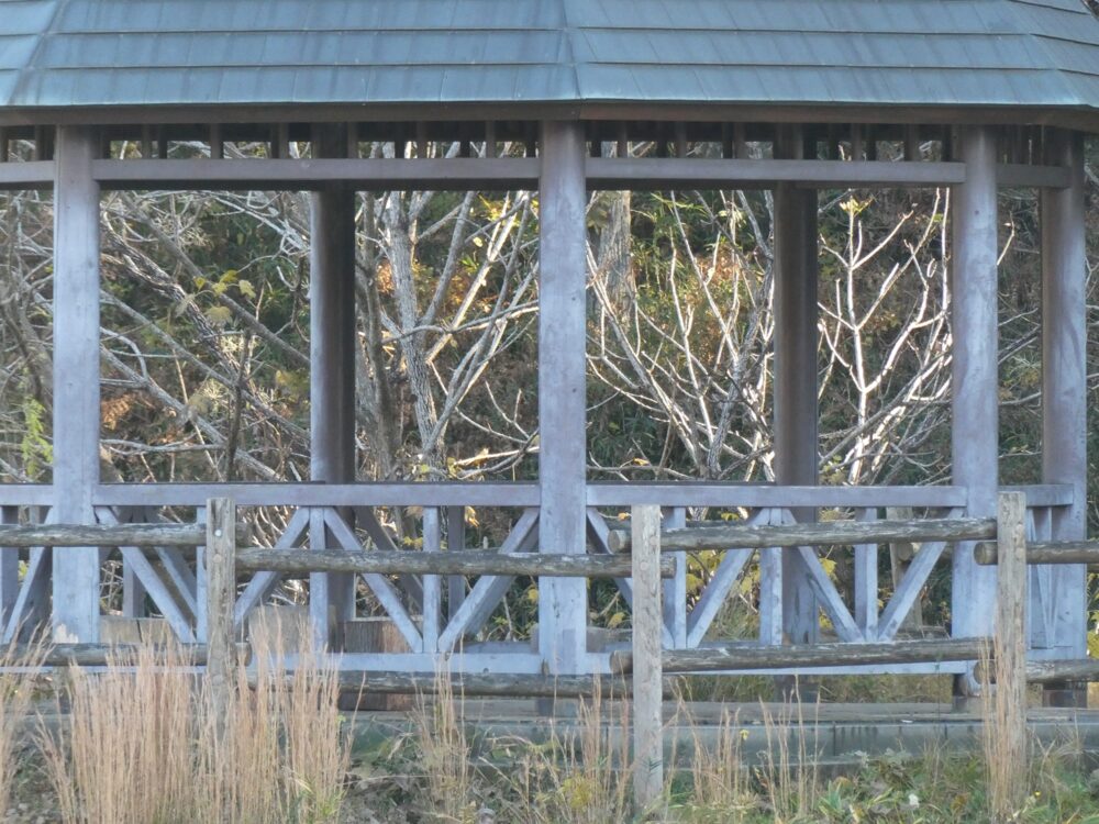 720mm相当の作例