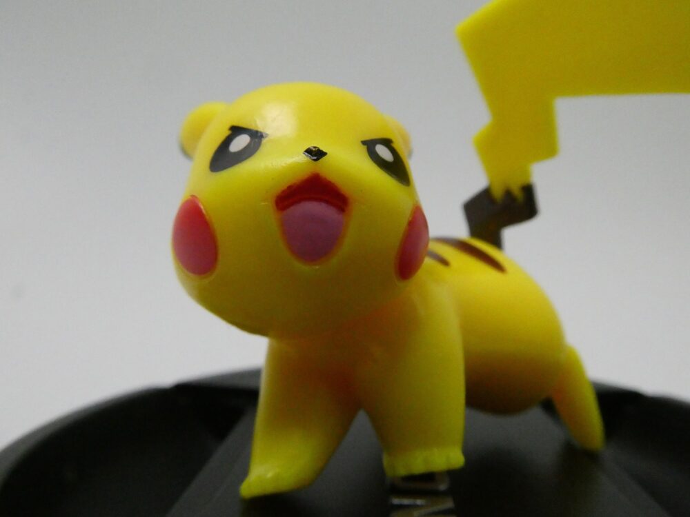 TZ99の最短撮影距離の作例