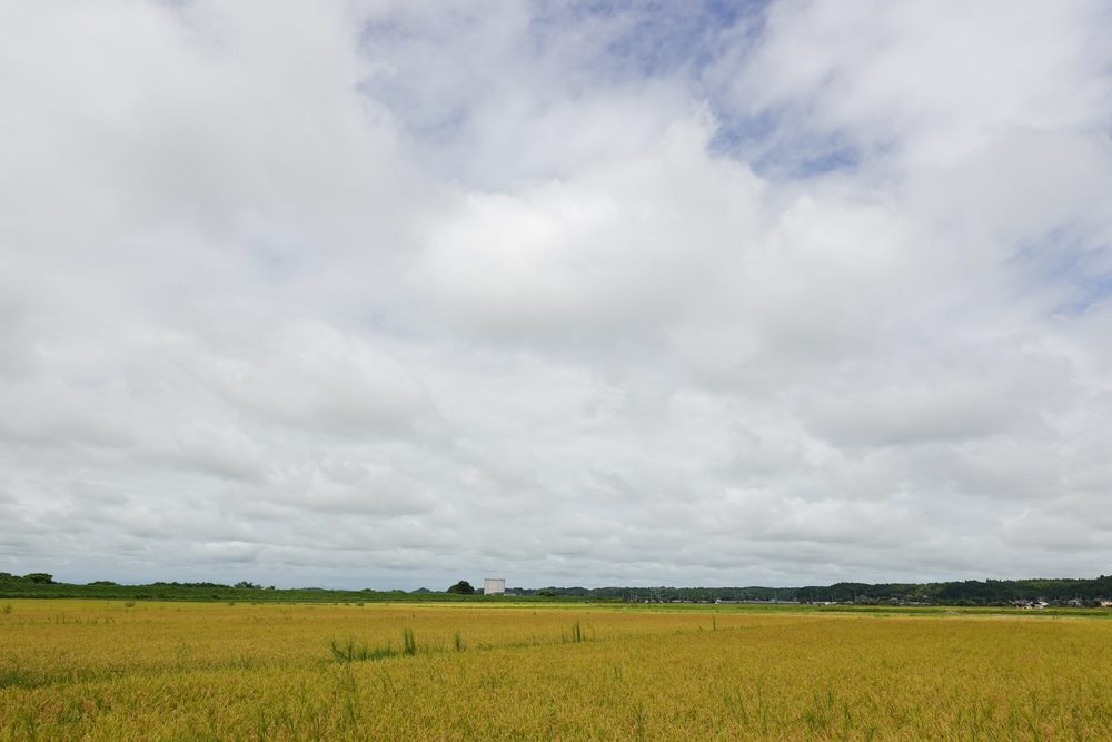RX100M7/24mm